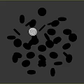 Dynamic 3D Sculpture Carving of Scattered Gold Coins in Rotating Motion Design