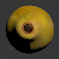 Ripe Yellow Mango on Dark Surface with Reflection
