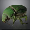 Detailed View of Green Beetle With Shiny Striped Exoskeleton On Gray Background