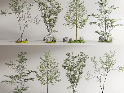 Various Arbor Trees With Green Foliage And Decorative Stones In Landscape 3d model