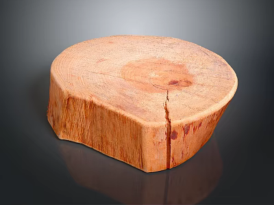 Natural Wooden Log Slice With Tree Ring And Crack Detail As Household Living Product 3d model