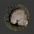 Natural Wood Stone Decorative Stump With Textured Surface And Grass Base Design