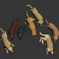 Various Colored Dog Models Displayed In Different Poses On Black Background