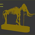 Modern skeleton animal skeleton elephant fossil 3d model