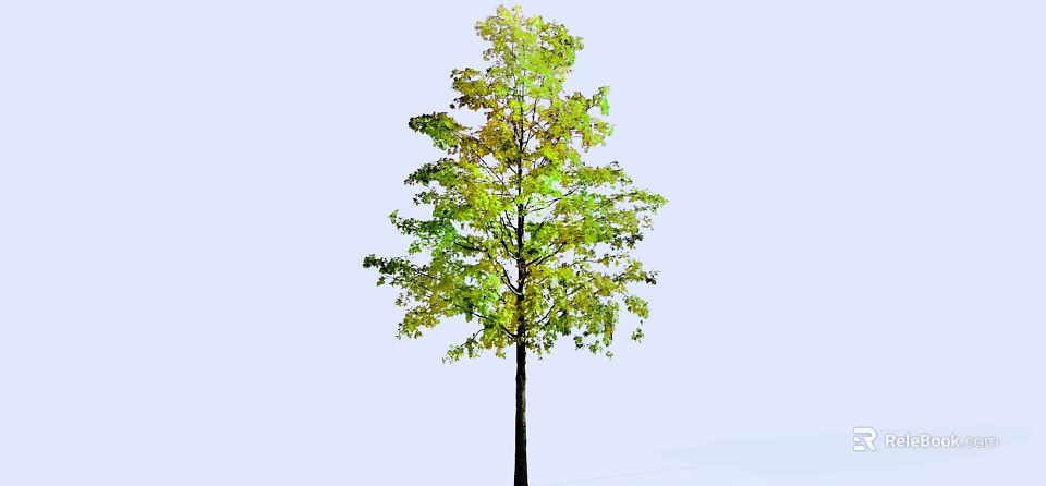 Vibrant Arbor With Green And Yellow Leaves On Tall Straight Trunk Against Light Blue Background 3d model 