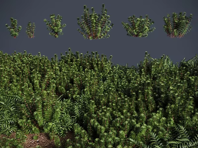 Lush Green Shrubs Different Types With Foliage For Landscaping And Gardens 3d model