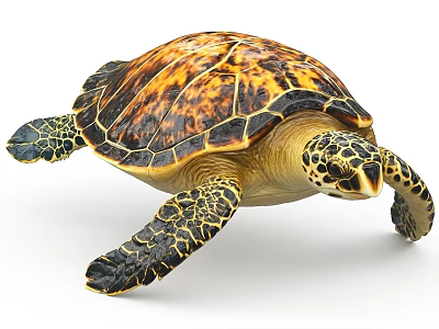 Stunning Sea Turtle Aquatic Animal Featuring Colorful Patterned Shell And Webbed Flippers 3d model