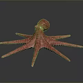 Pink Octopus With Long Tentacles In 3D Rendering On Gray Background