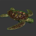 Vibrant Purple Red Patterned Sea Turtle With Textured Shell And Spotted Flippers