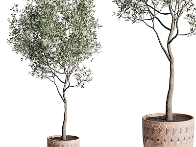 Modern potted plants 3d model