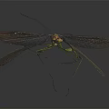 Flying Insect Praying Mantis with Spread Wings and Green Brown Body on Dark Background