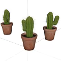Three Cactus Potted Plants in Terracotta Pots for Indoor Home Decor