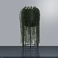 Hanging Bonsai Potted Plant With Trailing Leaves On Metal Stand In Minimalist Space