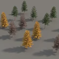 Various Colored Trees With Slender Trunks And Conical Crowns On Grey Background