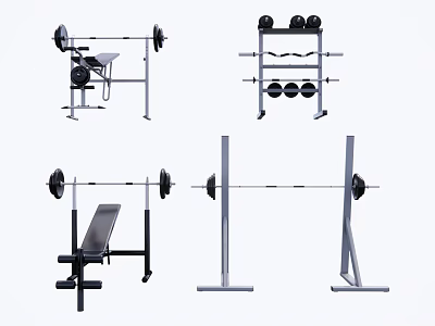 Complete Home Gym Sports Equipment Featuring Barbells Dumbbells Weight Bench And Racks 3d model