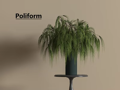 Poliform Dark Green Vase With Tall Green Hanging Plant On Pedestal Table 3d model