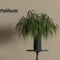 Poliform Dark Green Vase With Tall Green Hanging Plant On Pedestal Table