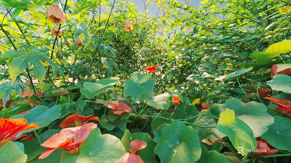 Lush Green Bush With Red Flowers And Shiny Leaves In Sunlit Garden 3d model 