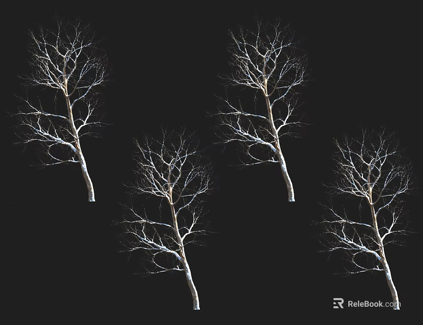 Four Standing Isolated Bare Trees Without Leaves On Black Background 3d model