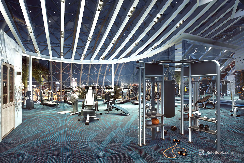 Modern Fitness Gym Interior With Treadmill Dumbbells Exercise Ball And City Night View 3d model 