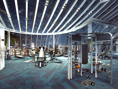Modern Fitness Gym Interior With Treadmill Dumbbells Exercise Ball And City Night View 3d model