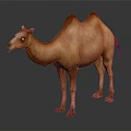 Brown Bactrian Camel Standing On Dark Background With Reflective Surface 3d model