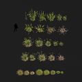 Various Green Herbaceous Plants With Different Heights In Outdoor Landscape Arrangement