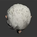 Man With White Hair Detailed Head Portrait On Gray Background