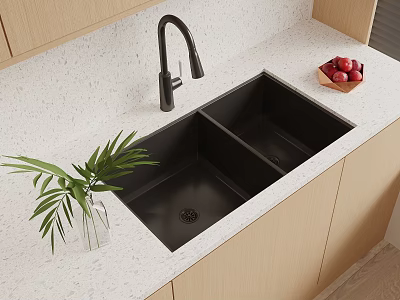 Black Double Bowl Kitchen Sink On Light Countertop With Black Faucet Green Plant Red Fruits 3d model