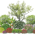 Colorful Flowering Shrubs in Diverse Garden Landscaping With Green Foliage and Blooms