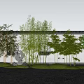 Bamboo Plants Growing Along White Wall With Gray Stone And Green Grass