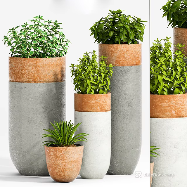 Bonsai Potted Plants In Gray Brown Containers With Lush Green Foliage For Indoor Decor 3d model 