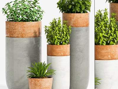 Bonsai Potted Plants In Gray Brown Containers With Lush Green Foliage For Indoor Decor 3d model