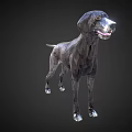 Low Poly Style Black Dog Figurine As Decorative Ornament Set With Geometric Design