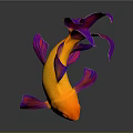 Shiny Orange Goldfish With Colorful Fins Tail And Reflection On Dark Background