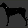 Modern Dog Great Dane German Great Dane Large Dog 3d model