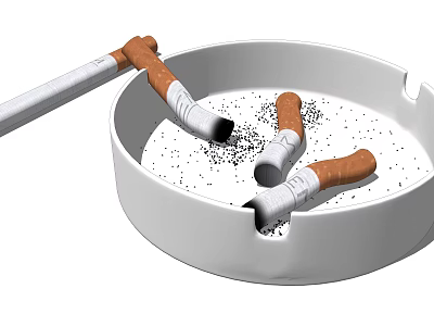 Stylish Decorative Ornament Set With White Ashtray Lit Cigarettes And Scattered Ash 3d model