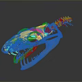 Transparent Dinosaur Skull Model With Detailed Colorful Internal Anatomical Structures 3d model
