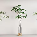 Elegant Glass Ceramic Vases With Leafy Green Plants On White Wall Shelf