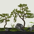 pine plant combination landscape modeling tree mountain pine stone micro terrain 3d model
