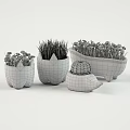Cute Shaped Potted Plants With Grass Small Flowers And Cactus Decorative Planters