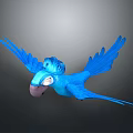 Blue Parrot Flying With Spread Wings Crown Like Decoration Pink Beak White Eyes Gray Background