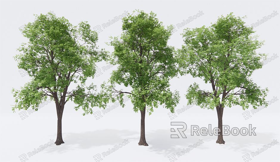 Modern Trees Landscape Trees Arbor Garden Trees Street Trees model