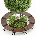 Circular Wooden Tree Pit With Surrounding Seating Metal Frame And Green Plants