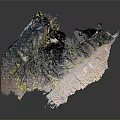 3D Organ Structure Model With Natural Hair Texture and Color Details