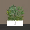 Indoor Green Plant Combination In White Rectangular Planter With Lush Various Foliage 3d model