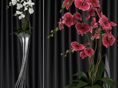 Modern Decorative Vase with Pink and White Orchid Flowers Green Leaves Dark Background 3d model