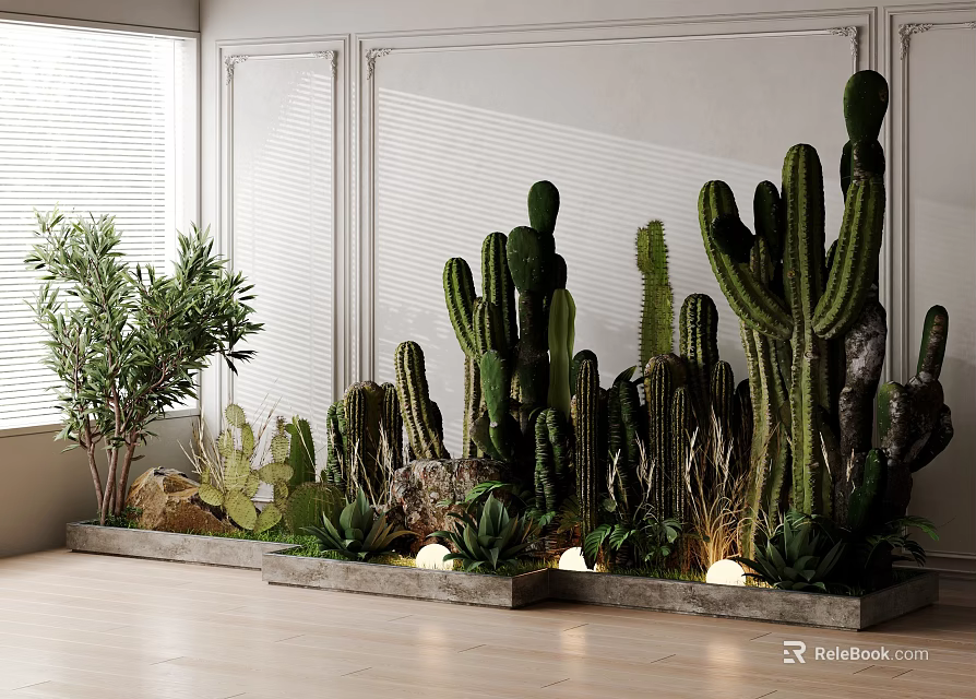 Indoor Potted Cactus And Succulent Plants Arrangement With Long Planter Floor 3d model 