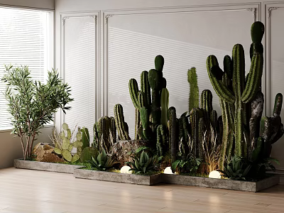 Indoor Potted Cactus And Succulent Plants Arrangement With Long Planter Floor 3d model