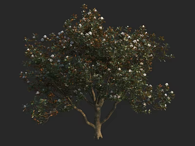 Lush Green Arbor With White Blossoms And Dense Foliage In Natural Scene 3d model